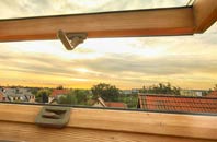 rated Forty Green roof window companies